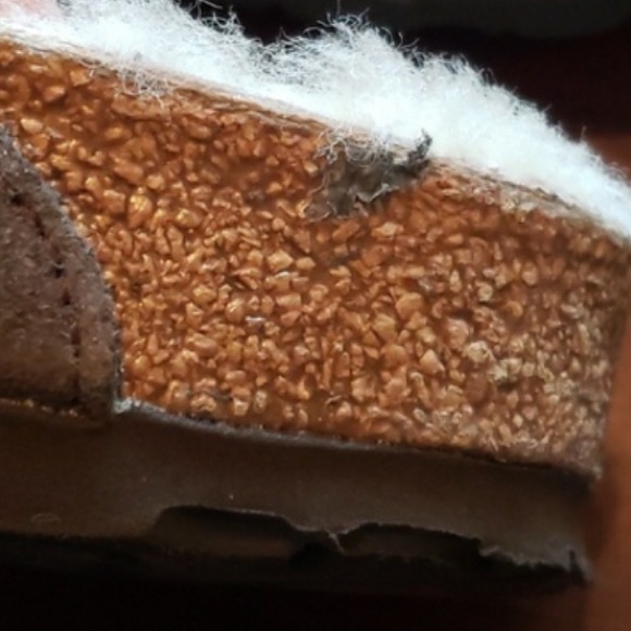 BIRKS (CAN FIT A SIZE 8) - Picture 8 of 8